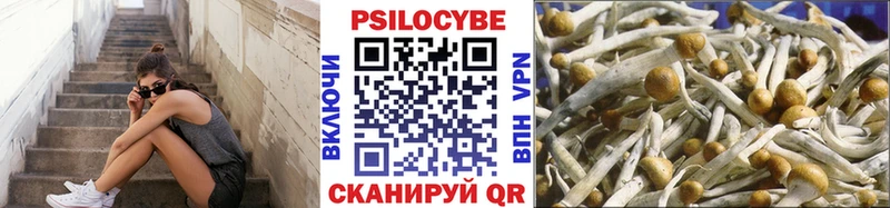 что такое   Городище  Галлюциногенные грибы прущие грибы 