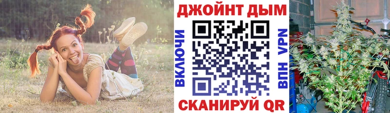 Конопля SATIVA & INDICA  купить   Городище 
